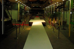 Thảm Runway